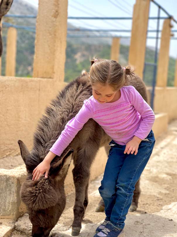 Girl-petting-a-baby-donkey