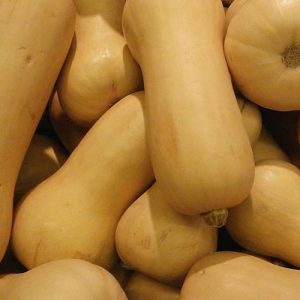 butternut squash