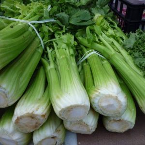 celery