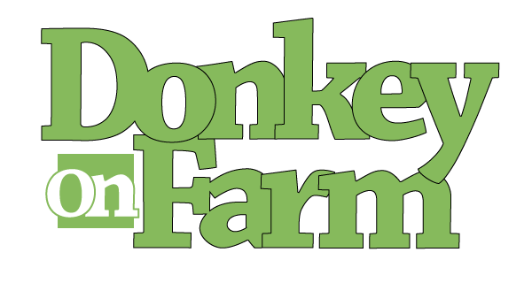 Donkey on Farm