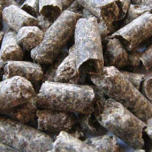 15 Healthy Treats for Donkeys That Are Easy to Find [Plus What to Avoid]