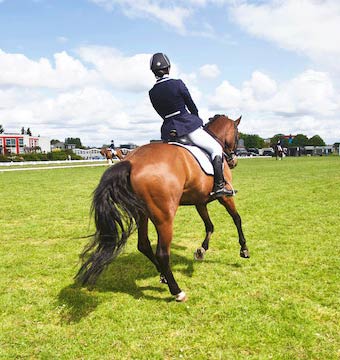 horse riding