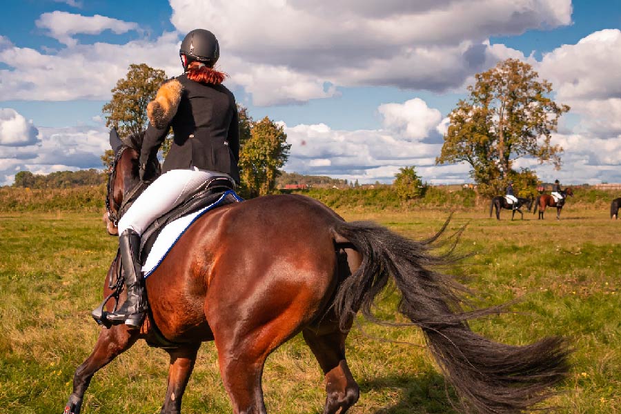 how often should you ride your horse