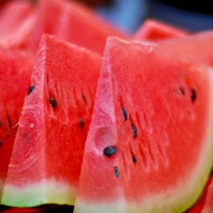 watermelon for donkeys