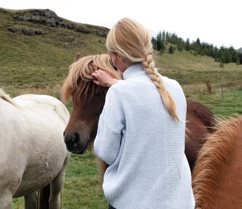 people-bonding-with-horses