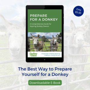 The-Best-Way-to-Prepare-Yourself-for-a-Donkey Ebook
