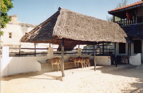 donkey shelter